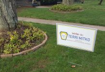 Editorial: Democrats Should Write In Terri Mitko For The 15th Legislative District