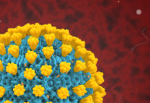 Three Ambridge Students – Including Two Athletes – Test Positive For COVID-19